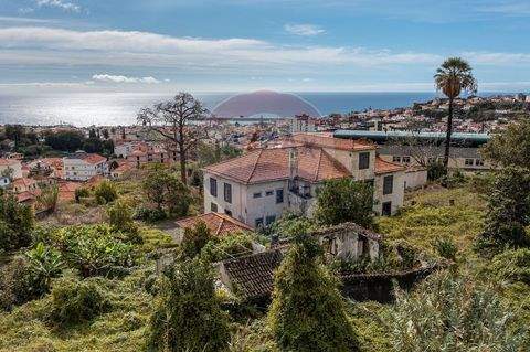 Ilha da Madeira, Funchal, Imaculado Coração Maria Häuser, Ilha da Madeira, Funchal, Imaculado Coração Maria Haus kaufen