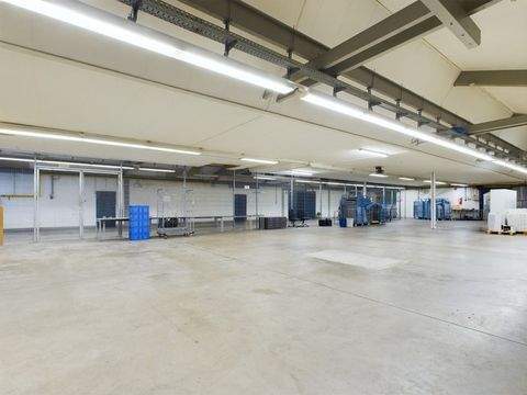 Fallingbostel Halle, Fallingbostel Hallenfläche