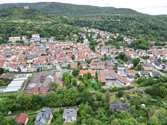 Leben in grüner Umgebung
