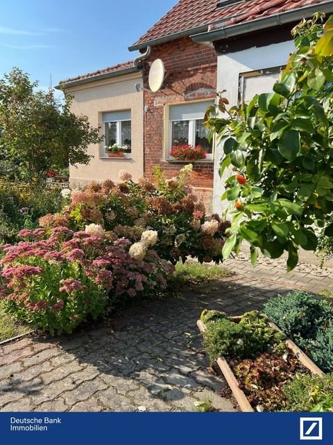 Herzberg Häuser, Herzberg Haus kaufen