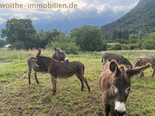 Bild 14