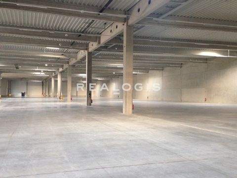 Paderborn Halle, Paderborn Hallenfläche