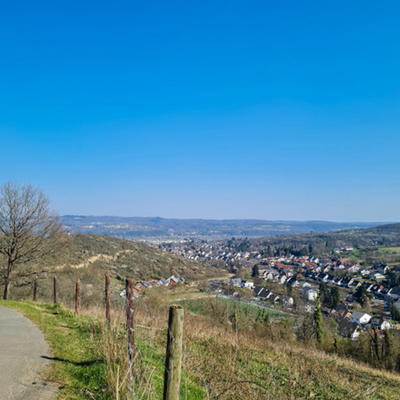 Aussicht Richtung Rhein.png
