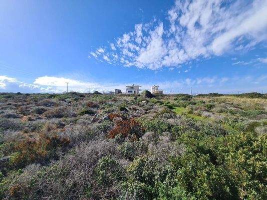 Kreta, Stavros: Riesiges Grundstück in Strandnähe zu verkaufen