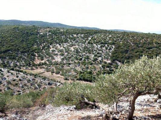 Vielfältige Nutzungsmöglichkeiten inmitten der Natur