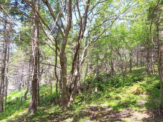 Nova Scotia - Grover?s Point - Wunderschönes Uferg