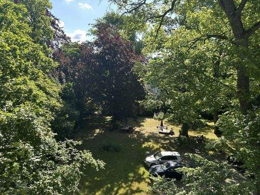 Blick Balkon in Garten