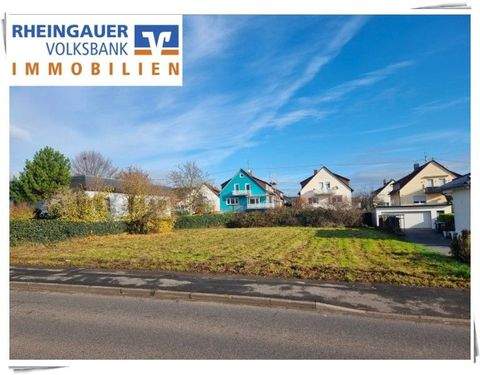 Geisenheim Grundstücke, Geisenheim Grundstück kaufen