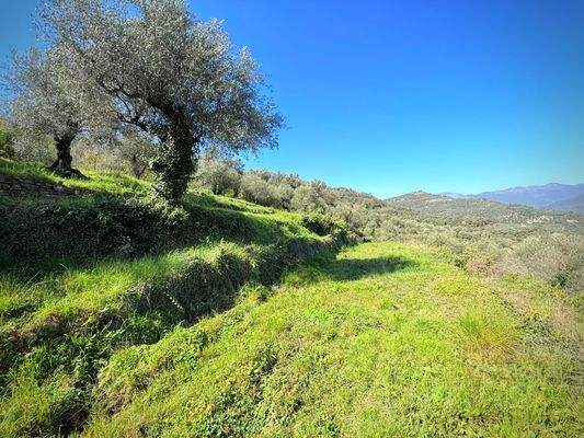 DA1003_15_TERRA ITALIA IMMOBILIEN_REAL ESTATE_LAND