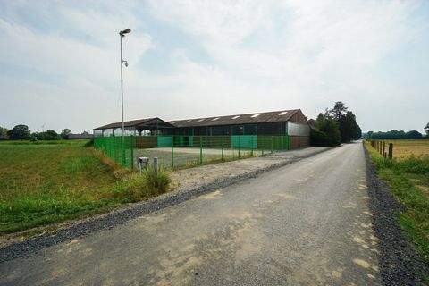 Wachtendonk Halle, Wachtendonk Hallenfläche