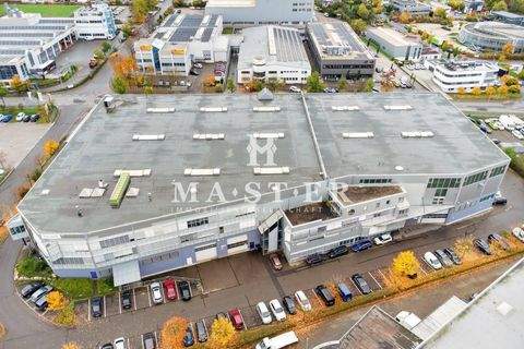 Herrenberg Halle, Herrenberg Hallenfläche