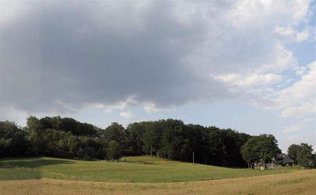 IMG-20231130-WA0006