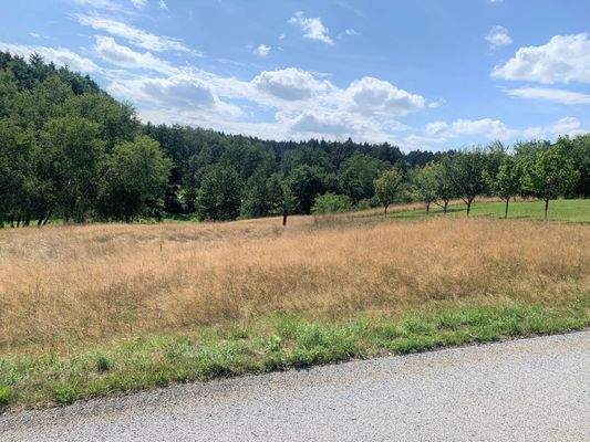 20230731_133815176_iOS