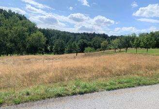 20230731_133815176_iOS