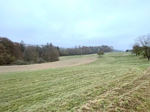 Sankt Stefan im Rosental Grundstücke, Sankt Stefan im Rosental Grundstück kaufen