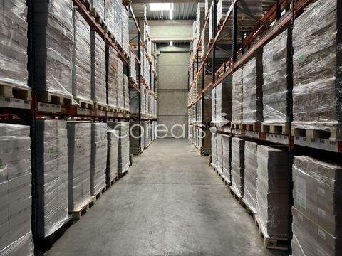 Langenfeld Halle, Langenfeld Hallenfläche