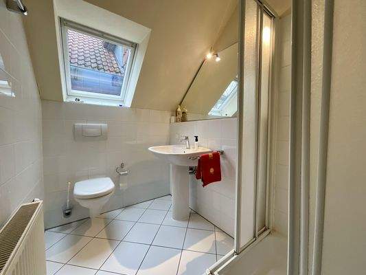 Gäste-WC mit Dusche