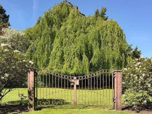 ...verwunschene Plätzen...