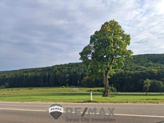 28 Wienerwald Umgebung