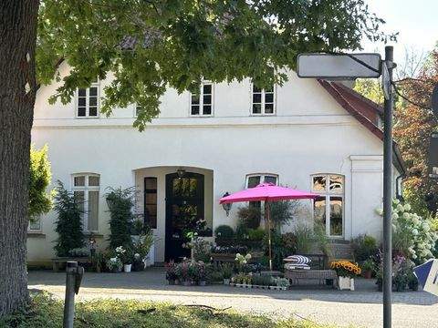 Harpstedt Häuser, Harpstedt Haus kaufen