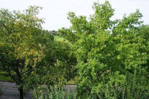 Kirchheim Teck Wohnungen, Kirchheim Teck Wohnung kaufen