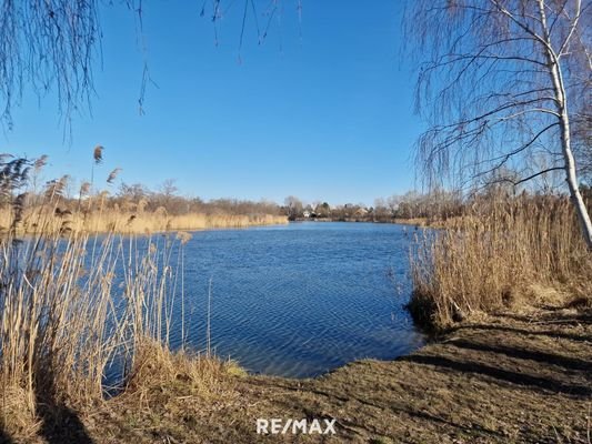 Marchfeldkanal gleich in der Nähe