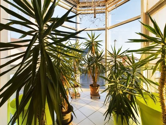 Wintergarten