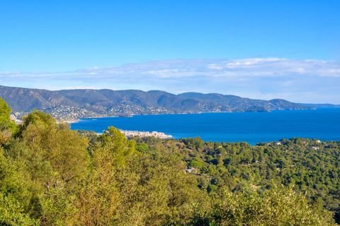 BORMES LES MIMOSAS Häuser, BORMES LES MIMOSAS Haus kaufen