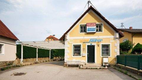 Vorau Halle, Vorau Hallenfläche