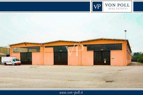 Arluno Halle, Arluno Hallenfläche