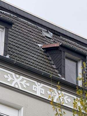 Detailbild Dach 