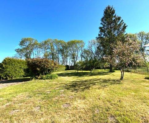 Grundstück mit Obstbäumen