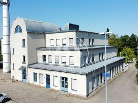 Stadthagen Halle, Stadthagen Hallenfläche