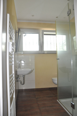 Gäste WC/Duschbad EG