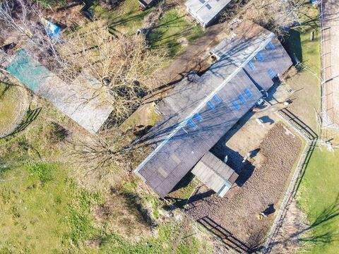 Seligenstadt Bauernhöfe, Landwirtschaft, Seligenstadt Forstwirtschaft