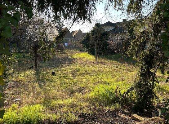 Grundstück Ost-Blick 