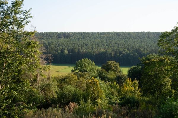 Ausblick.jpg