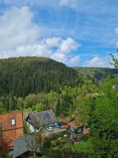 Blick v. Garten oben ins TAL