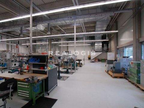 Esslingen Halle, Esslingen Hallenfläche