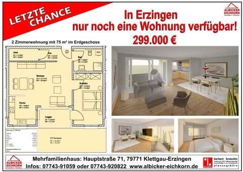 Klettgau-Erzingen Wohnungen, Klettgau-Erzingen Wohnung kaufen