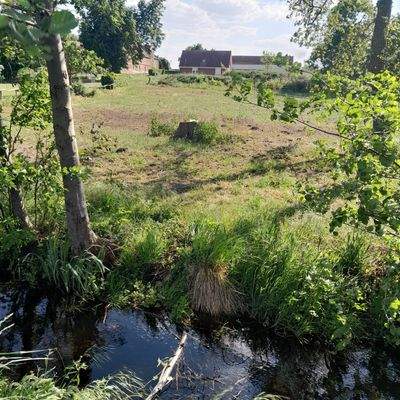 Blick von Wassergraben auf das Grundstück