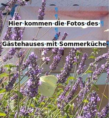Blütenpracht im Garten