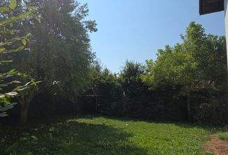 20260731_103837.jpg