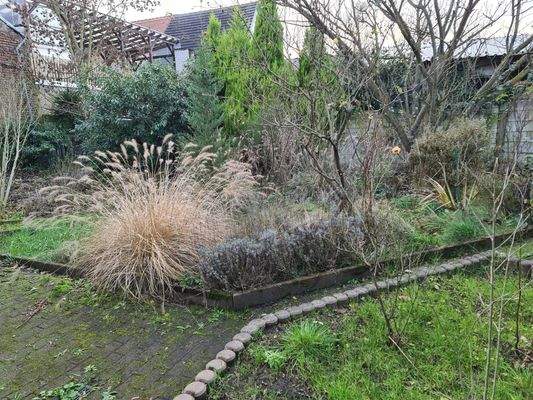 Blick in den Garten.jpg