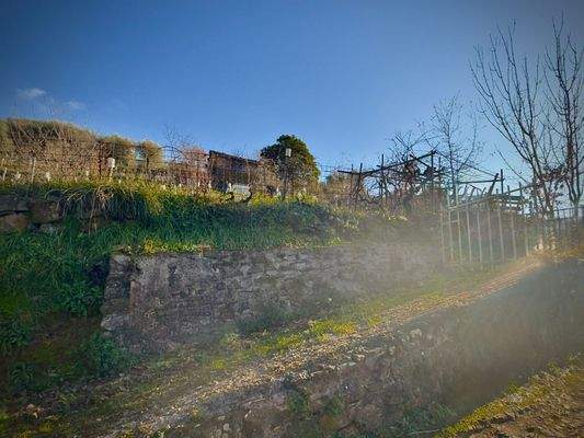 DA997_06_TERRA ITALIA IMMOBILIEN_REAL ESTATE_LAND_