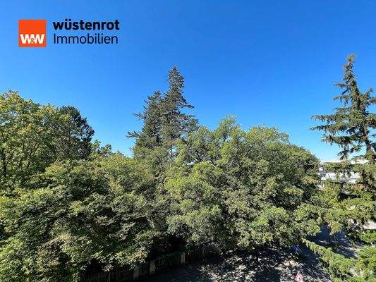 Blick aus dem Wohnzimmer