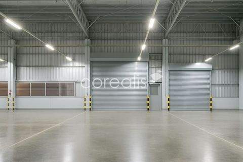 Essen / Frohnhausen Halle, Essen / Frohnhausen Hallenfläche