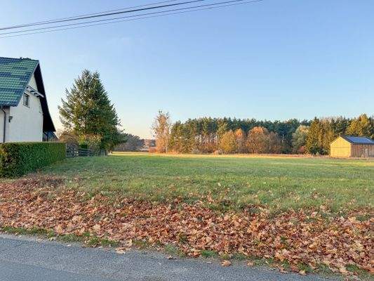 Grundstück vorne