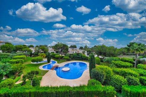 Sol de Mallorca Wohnungen, Sol de Mallorca Wohnung mieten