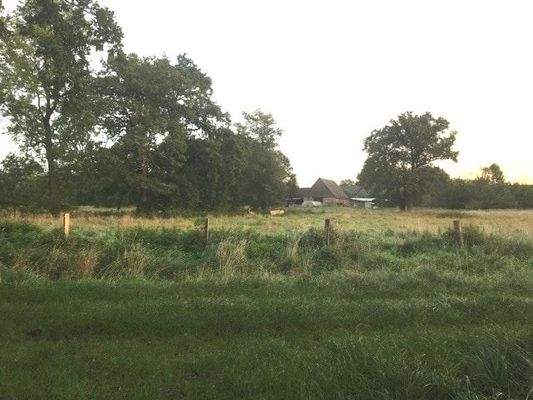 Scheune und Folientunnel vom Süden